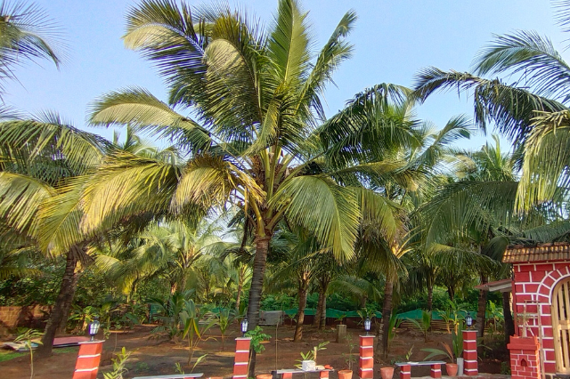 Beach View Resorts in Diveagar