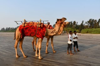Anchor-beach-resort-diveagar-21